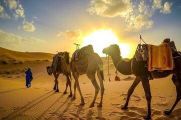 3-Days Desert Tour from Fez to Marrakech