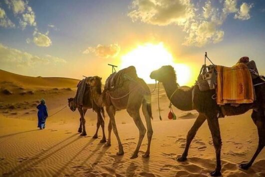 3-Days Desert Tour from Fez to Marrakech
