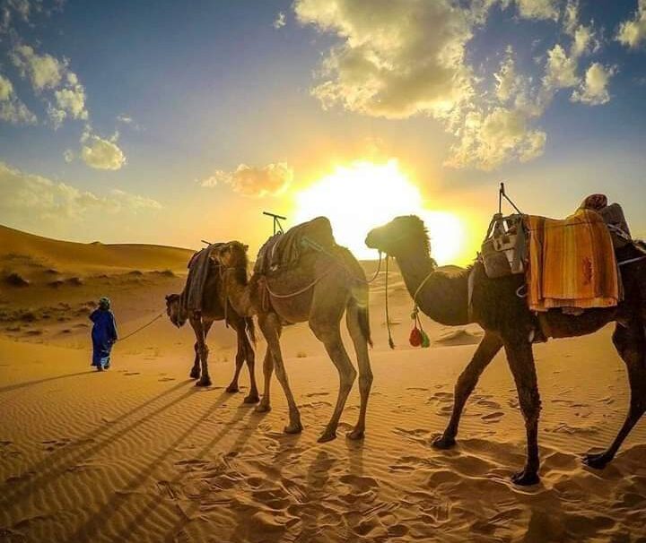 3-Days Desert Tour from Fez to Marrakech