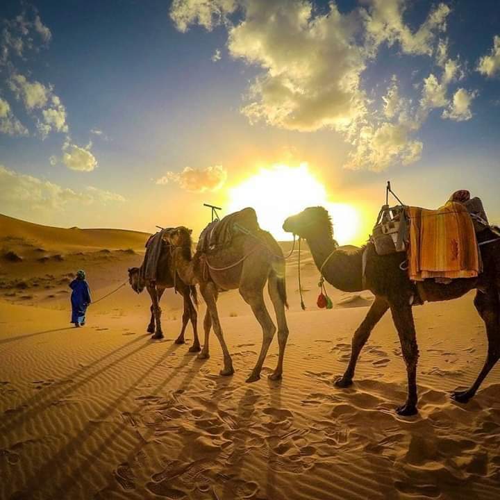 3-Days Desert Tour from Fez to Marrakech