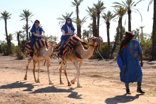 Marrakech Camel Ride