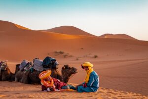 Morocco Itineraries: Discover the Best Multi-Day Tours with 20 Inspiring Options