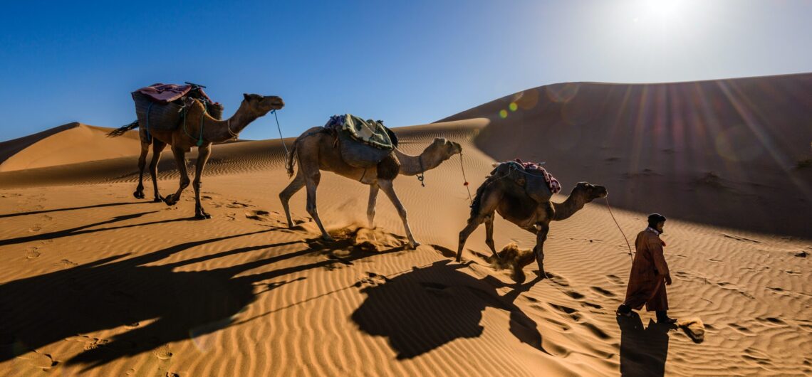 Desert Tours From Marrakech