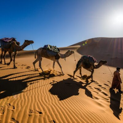 Private Morocco Tours