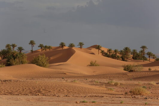 Merzouga City