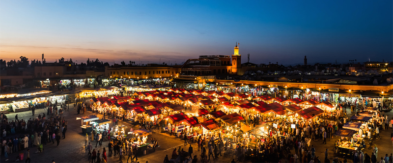 Best Travel Agecny in Marrakech