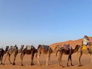 Morocco Tailor-Made Tours 2025