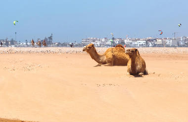 18 Days Morocco Tour From Tangier | Morocco Luxury Trip