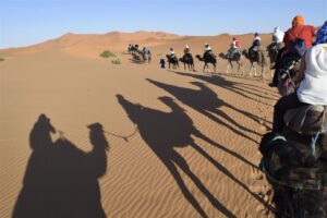 The Best Morocco Tours & Trips 