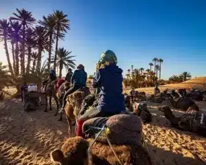 Morocco Tours & Holidays 
