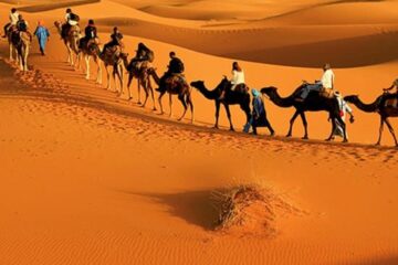 Best 3-Day Private Desert Tour From Agadir to Erg Chegaga