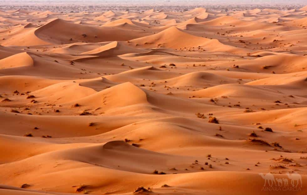 3-Day Private Desert Tour From Agadir