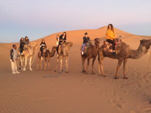 Guided Tours of Morocco