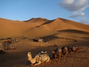 Morocco Tour Agency 