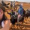3-day Sahara Desert tour Morocco