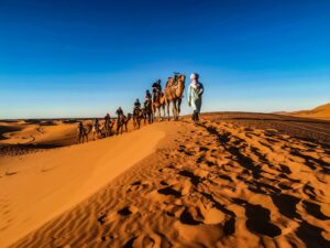 8-Day Sahara Camel Trek in Morocco