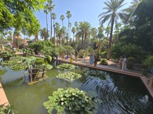 Discover Custom Morocco Tours