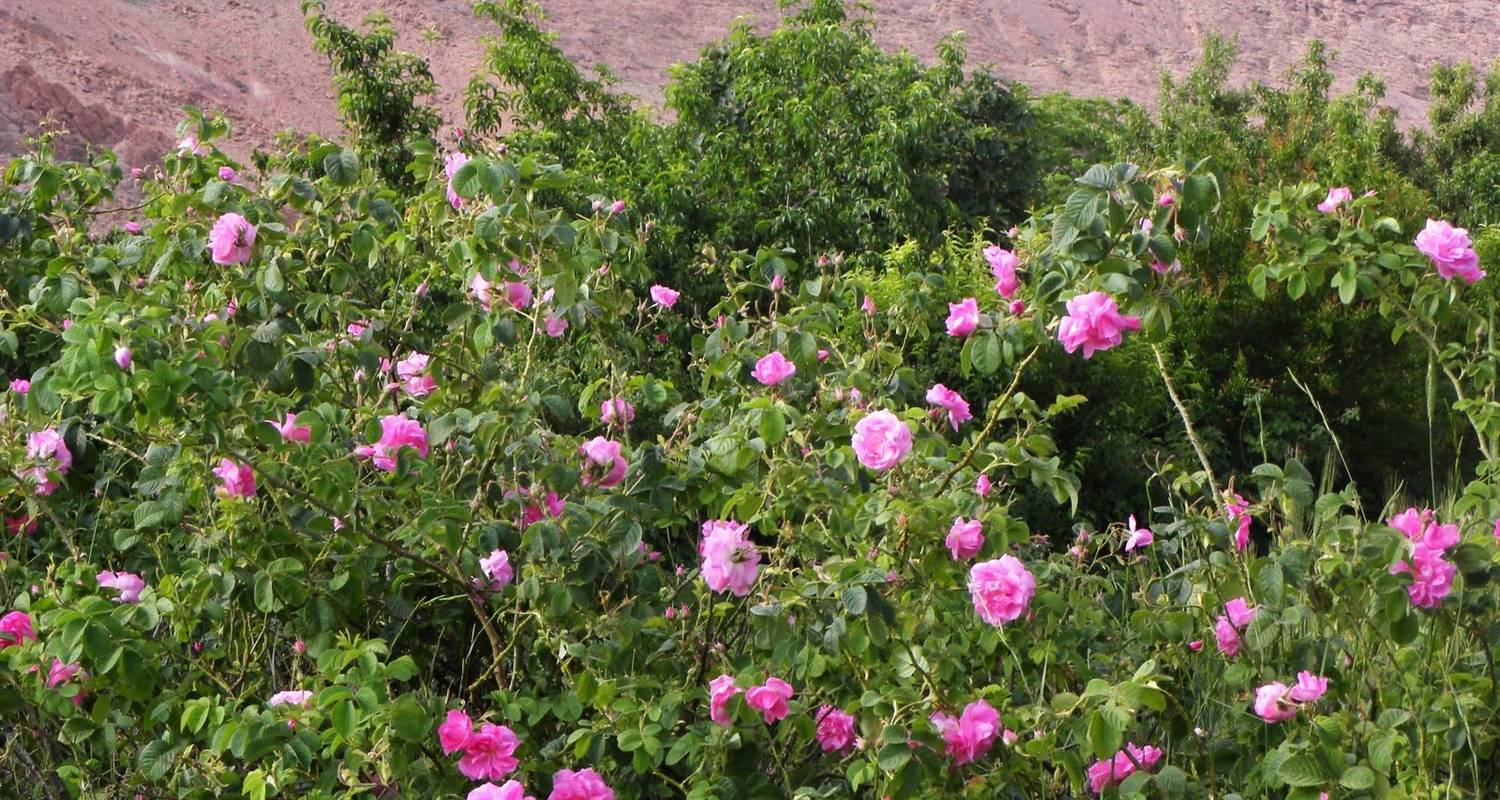 Discover Custom Morocco Tours