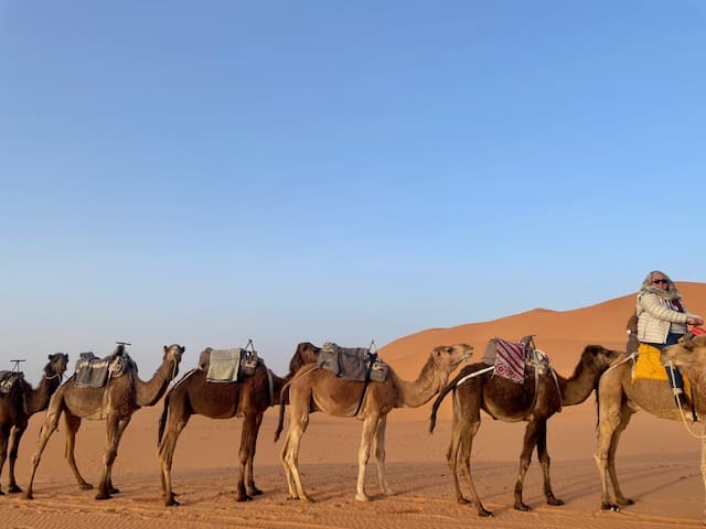 Morocco Desert Tours from USA