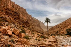 Imperial Morocco Tailor Made Tours