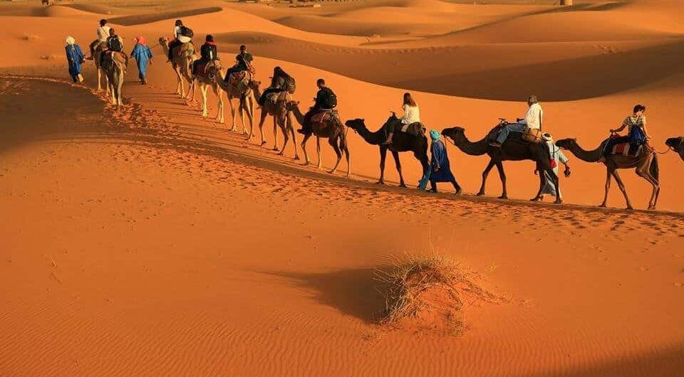 Moroccan desert