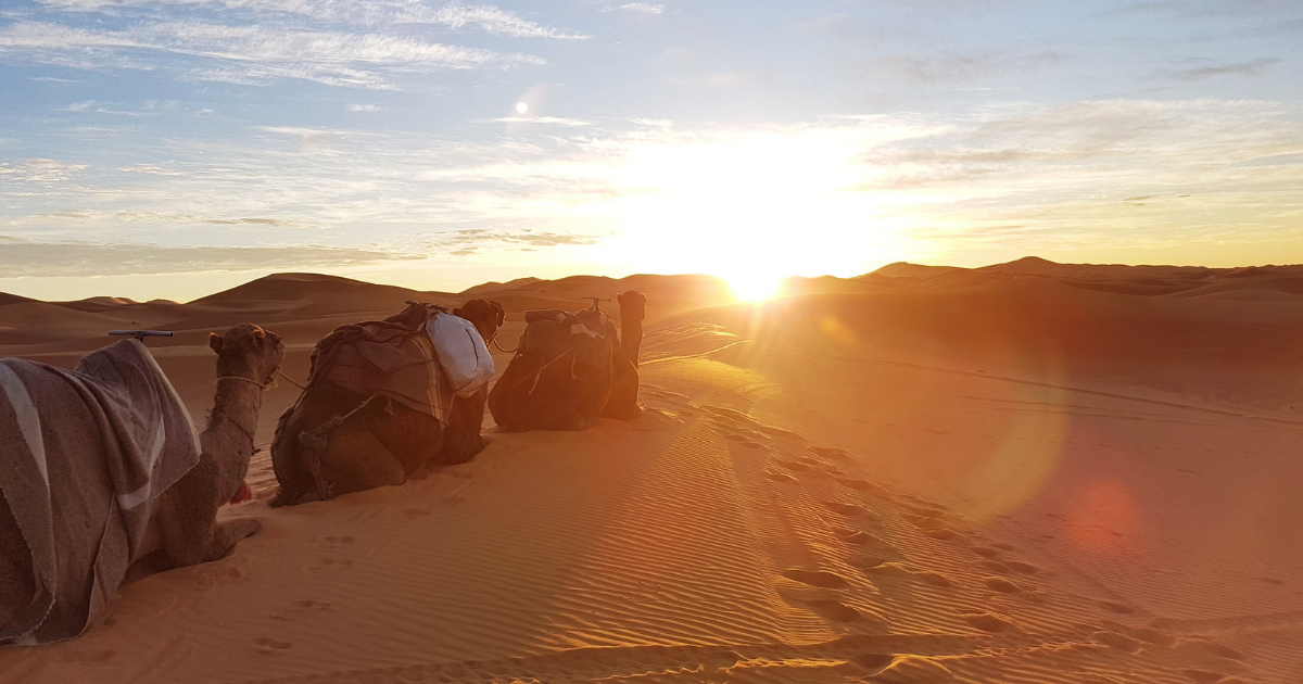 most beautiful beautiful sahara desert