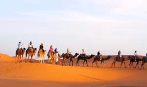 Best Luxury Tour Companies for Morocco Best Time to Travel to Morocco 2027–2028