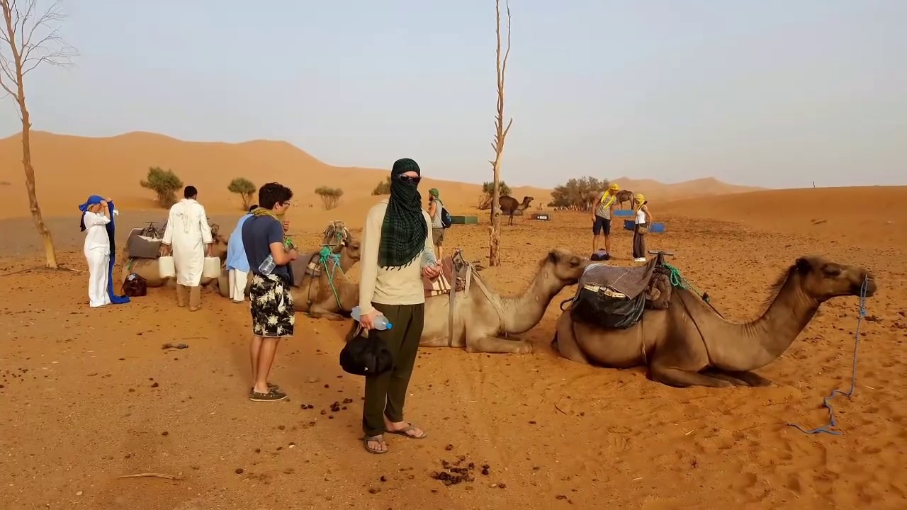 Merzouga 3 Days2 Nights From Marrakech Morocco Desert Tour - Tilila-Travel