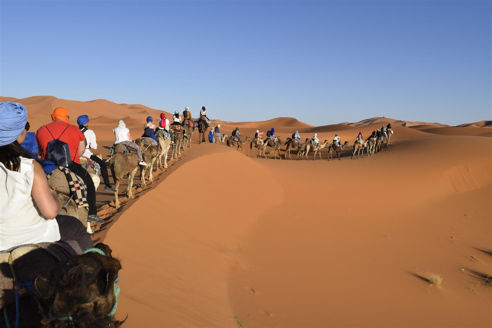 Tailor-Made Sahara Desert Experiences