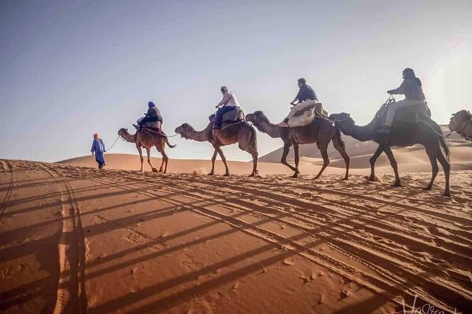 Discover 10 reasons to choose private Morocco tours for flexible itineraries, expert local guides, luxury stays, authentic experiences, and stress-free travel.