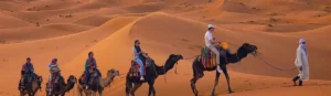 How much does a Morocco private tour cost
