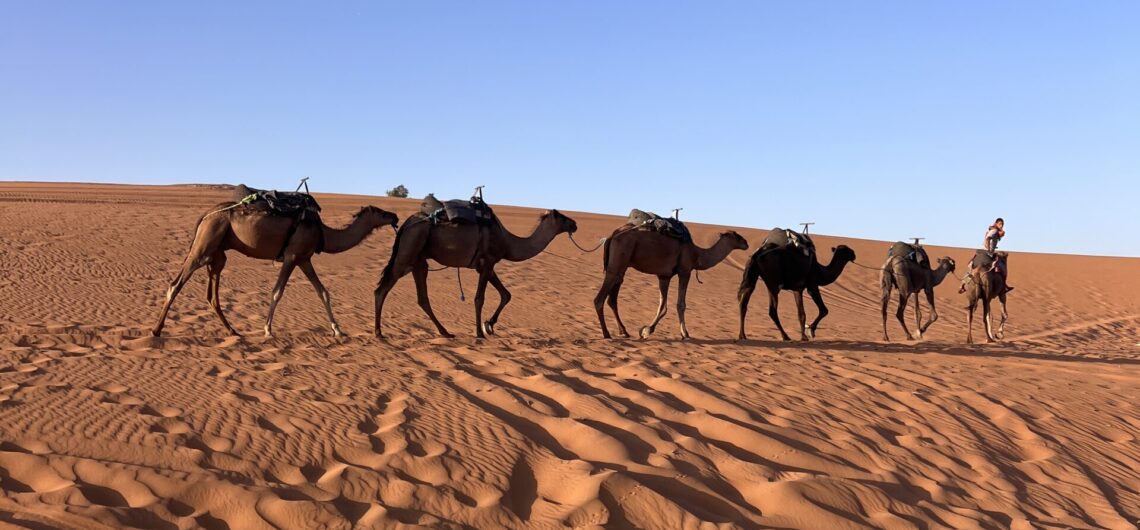 Private 14 Day Morocco Tour with Luxury Desert Camp